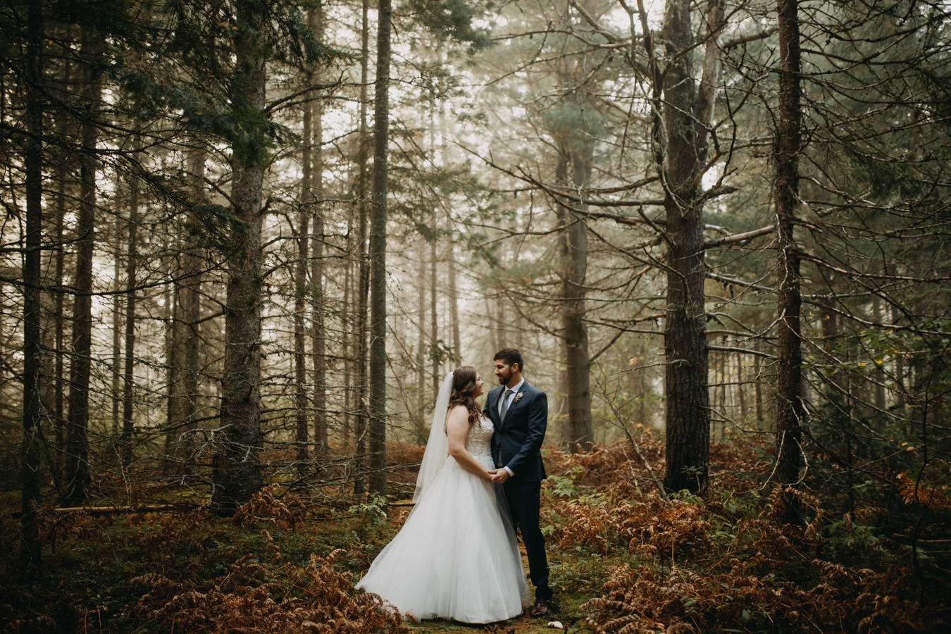 Algonquin Park Sunrise Elopement